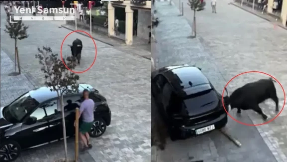 Varsayılan resim bulunamadı.